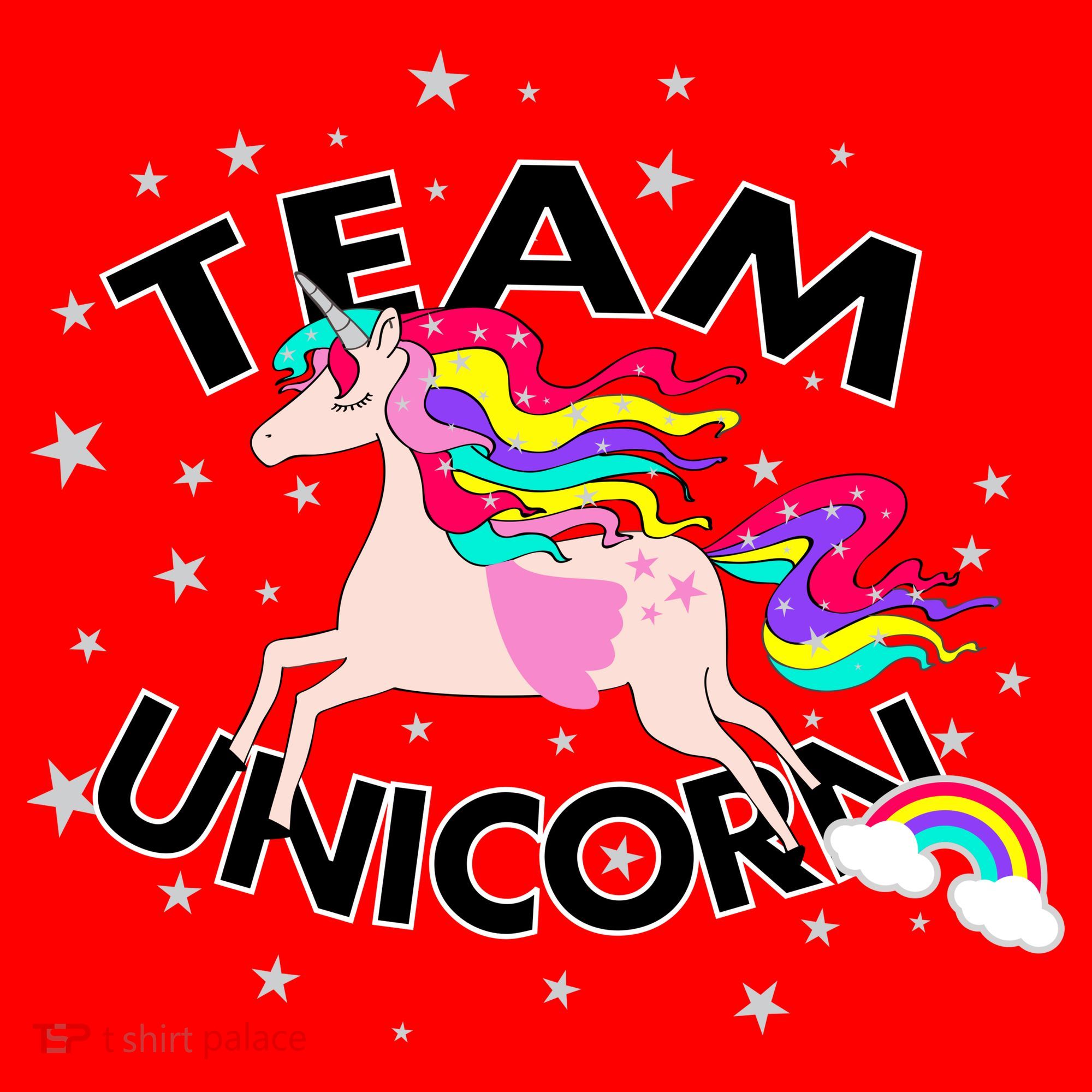 Team Unicorn Santa Hat
