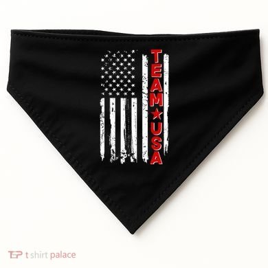 Team USA Distressed American Flag USA-Made Doggie Bandana