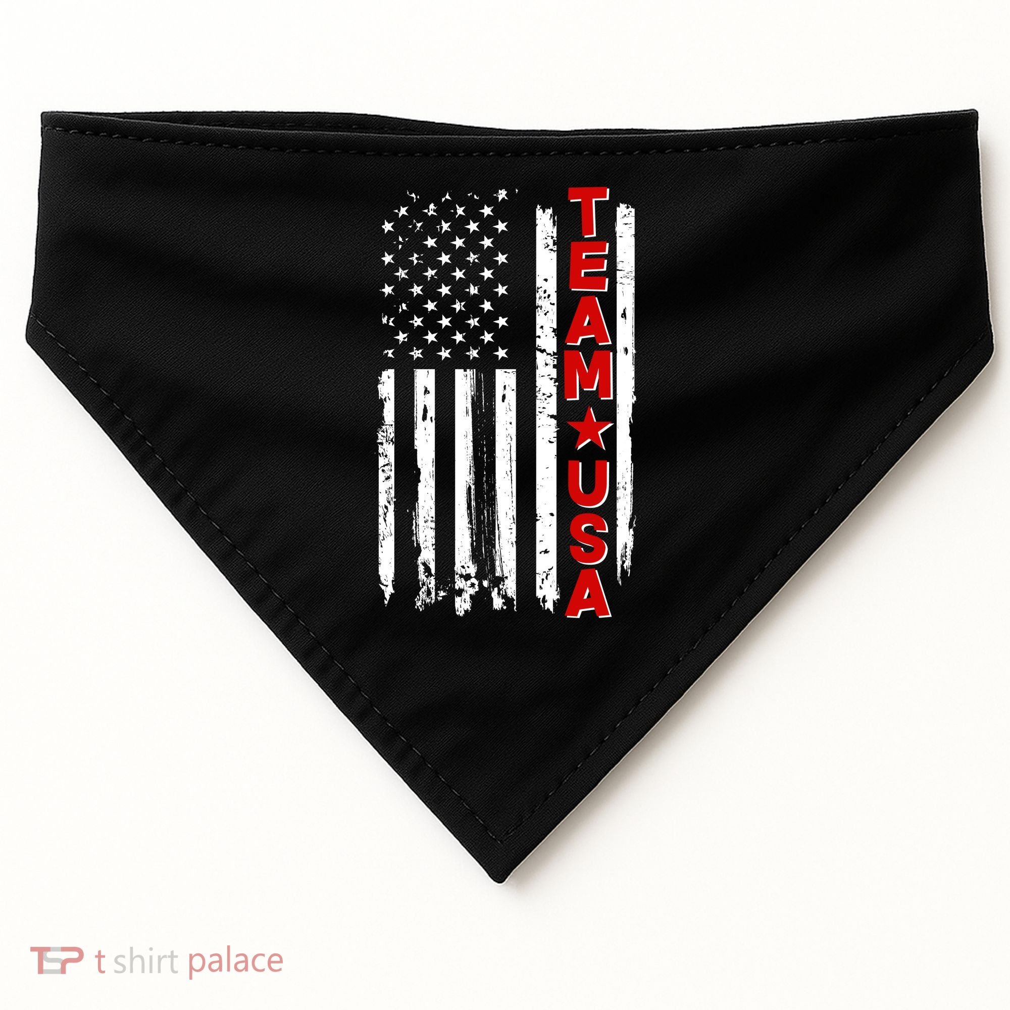 Team USA Distressed American Flag USA-Made Doggie Bandana