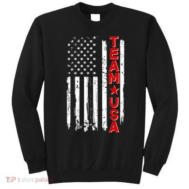 Team USA Distressed American Flag Sweatshirt