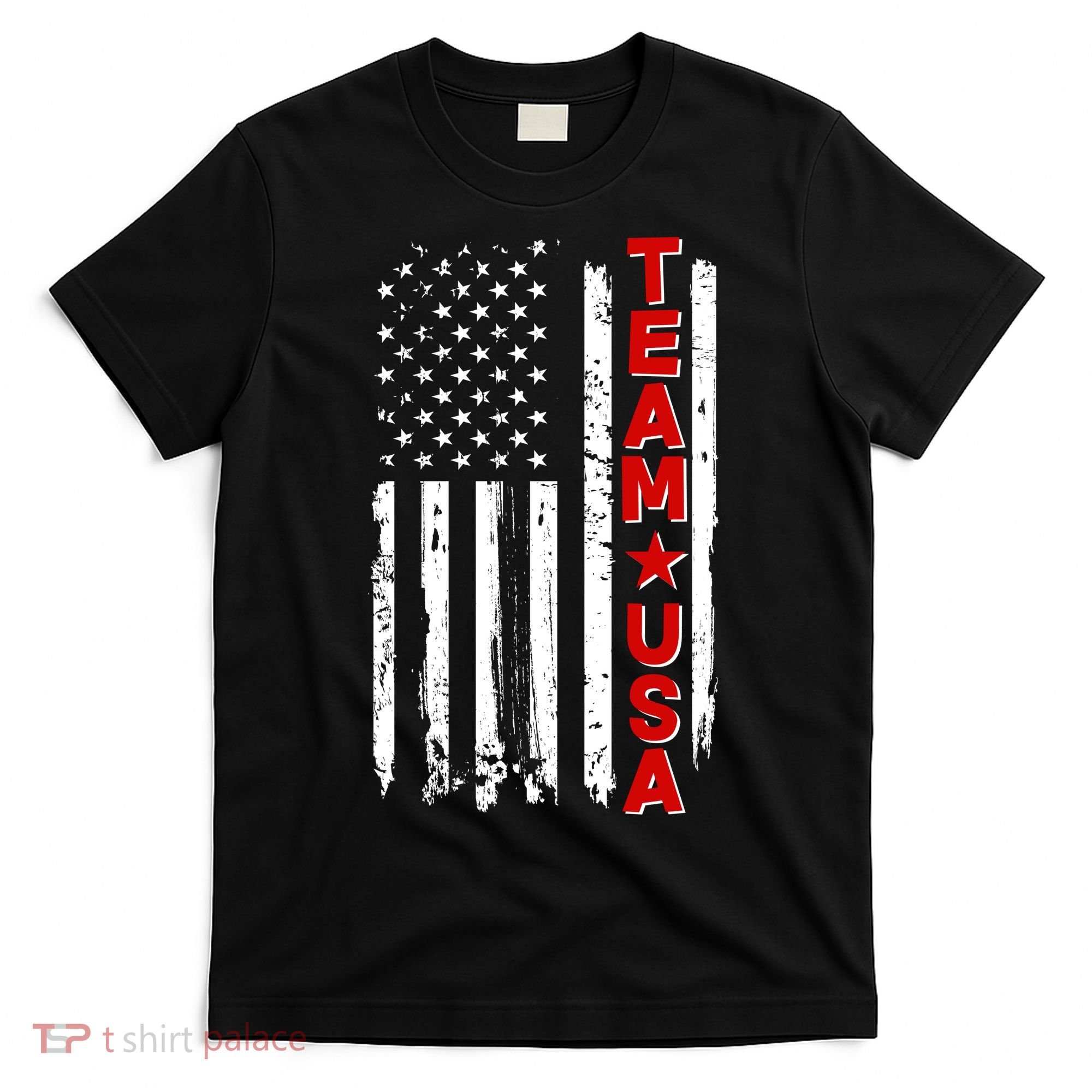 Team USA Distressed American Flag T-Shirt