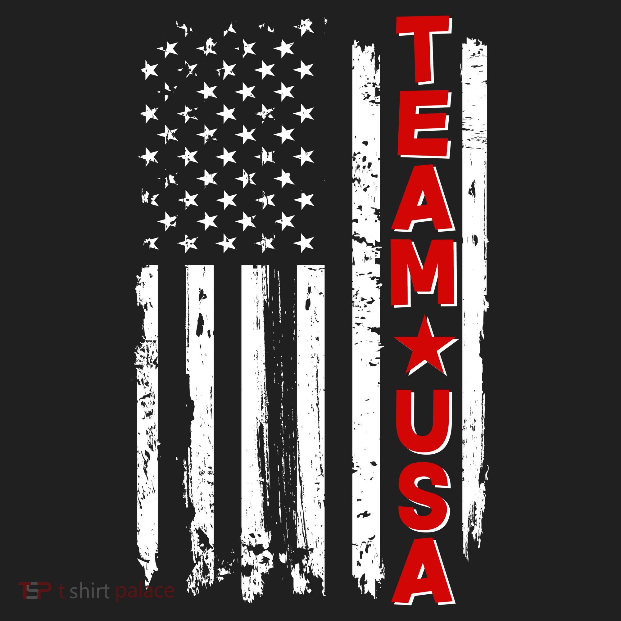 Team USA Distressed American Flag Tumbler