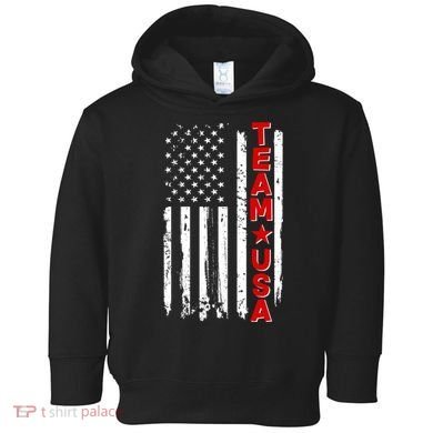 Team USA Distressed American Flag Toddler Hoodie