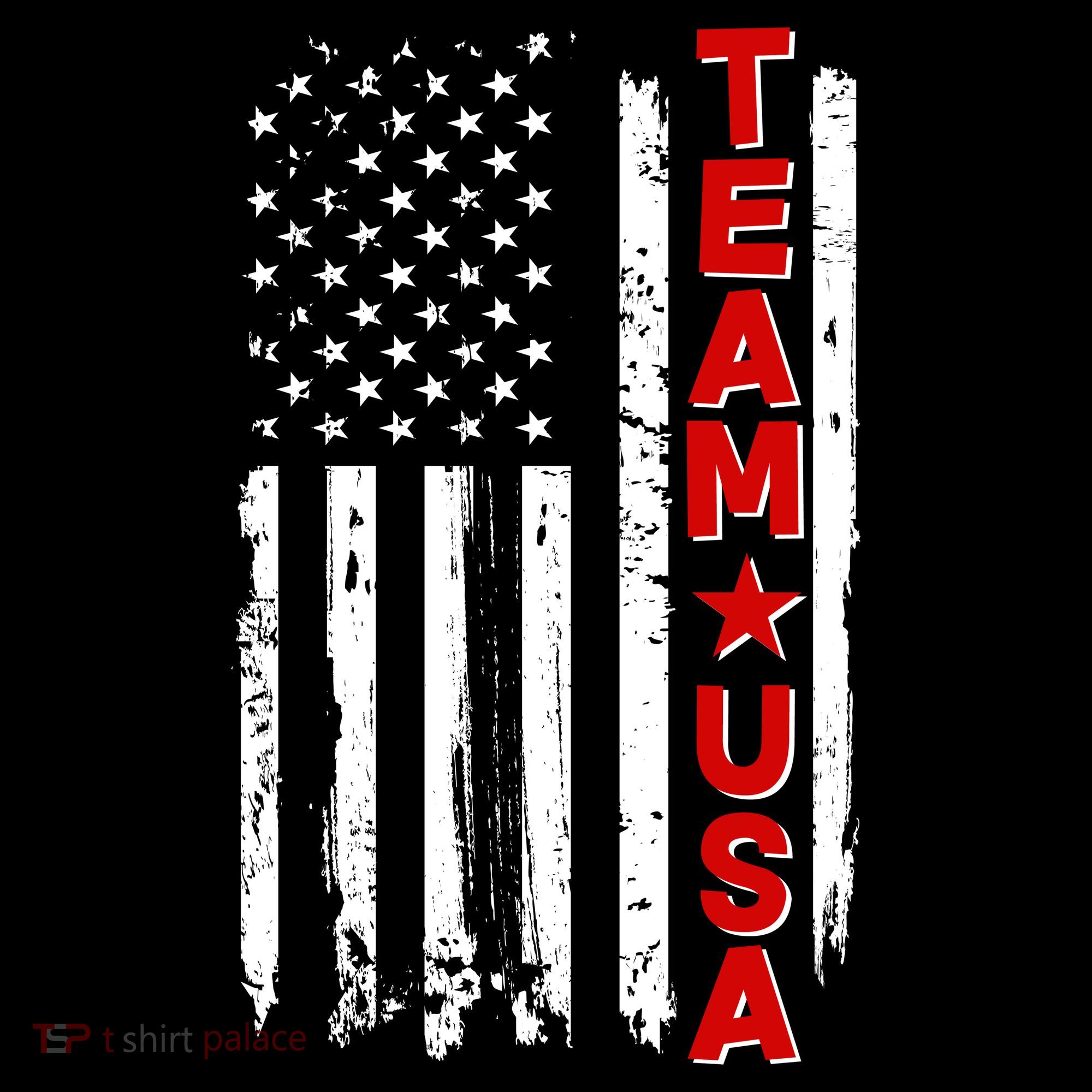 Team USA Distressed American Flag Women's T-Shirt