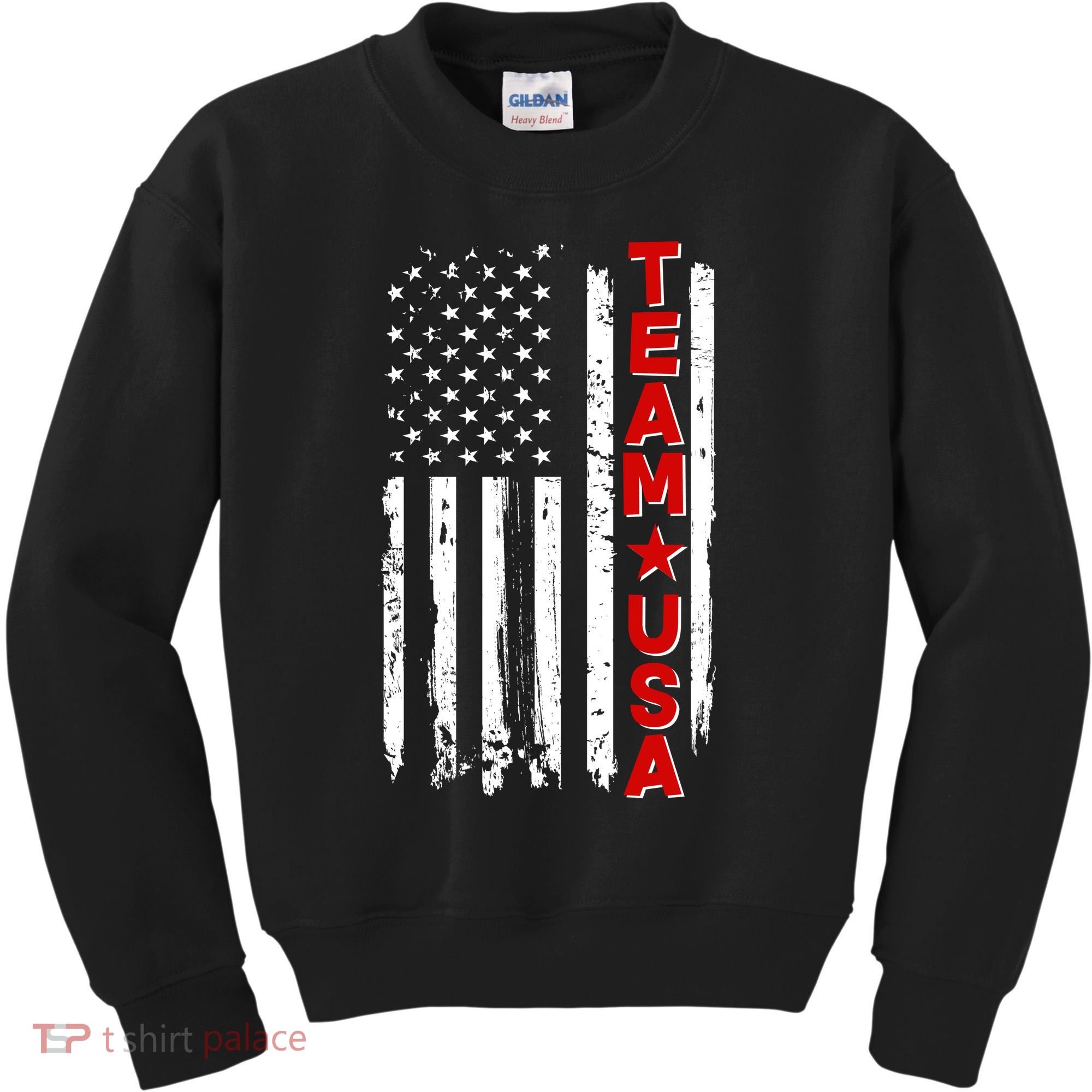 Team USA Distressed American Flag Kids Sweatshirt