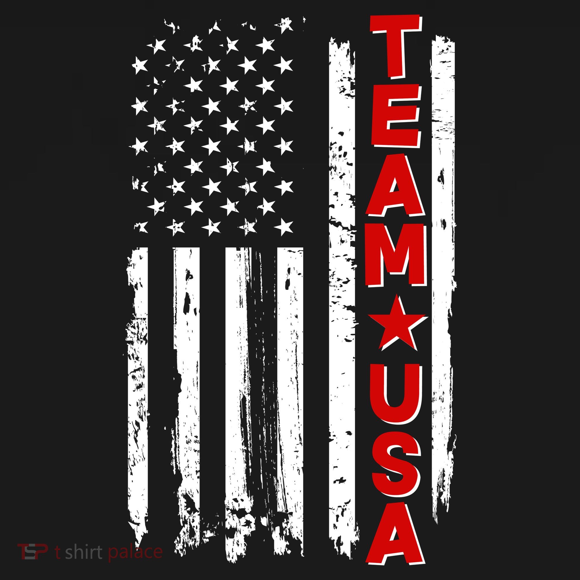 Team USA Distressed American Flag Kids Hoodie