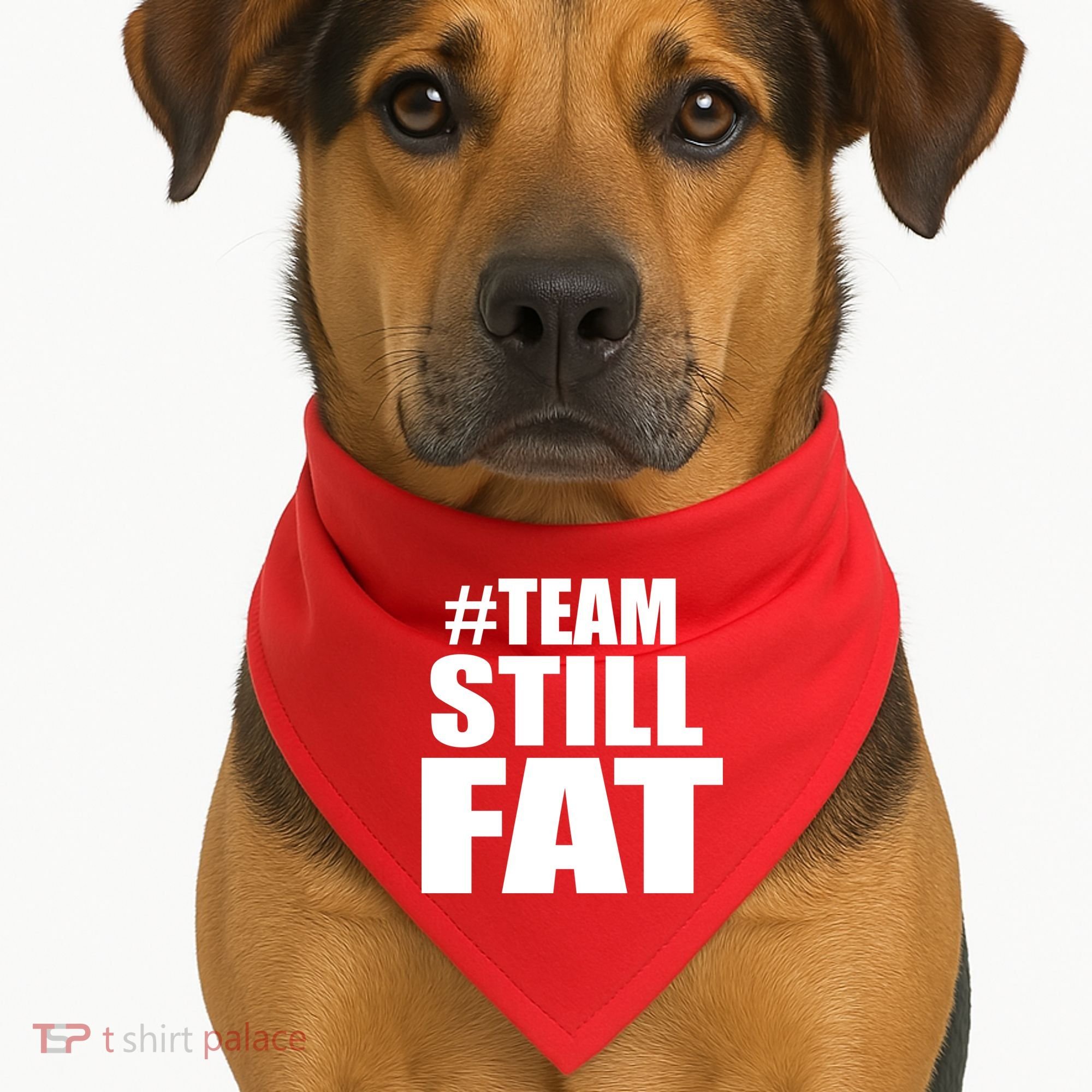 #TeamStillFat Team Still Fat Fitness Weight USA-Made Doggie Bandana