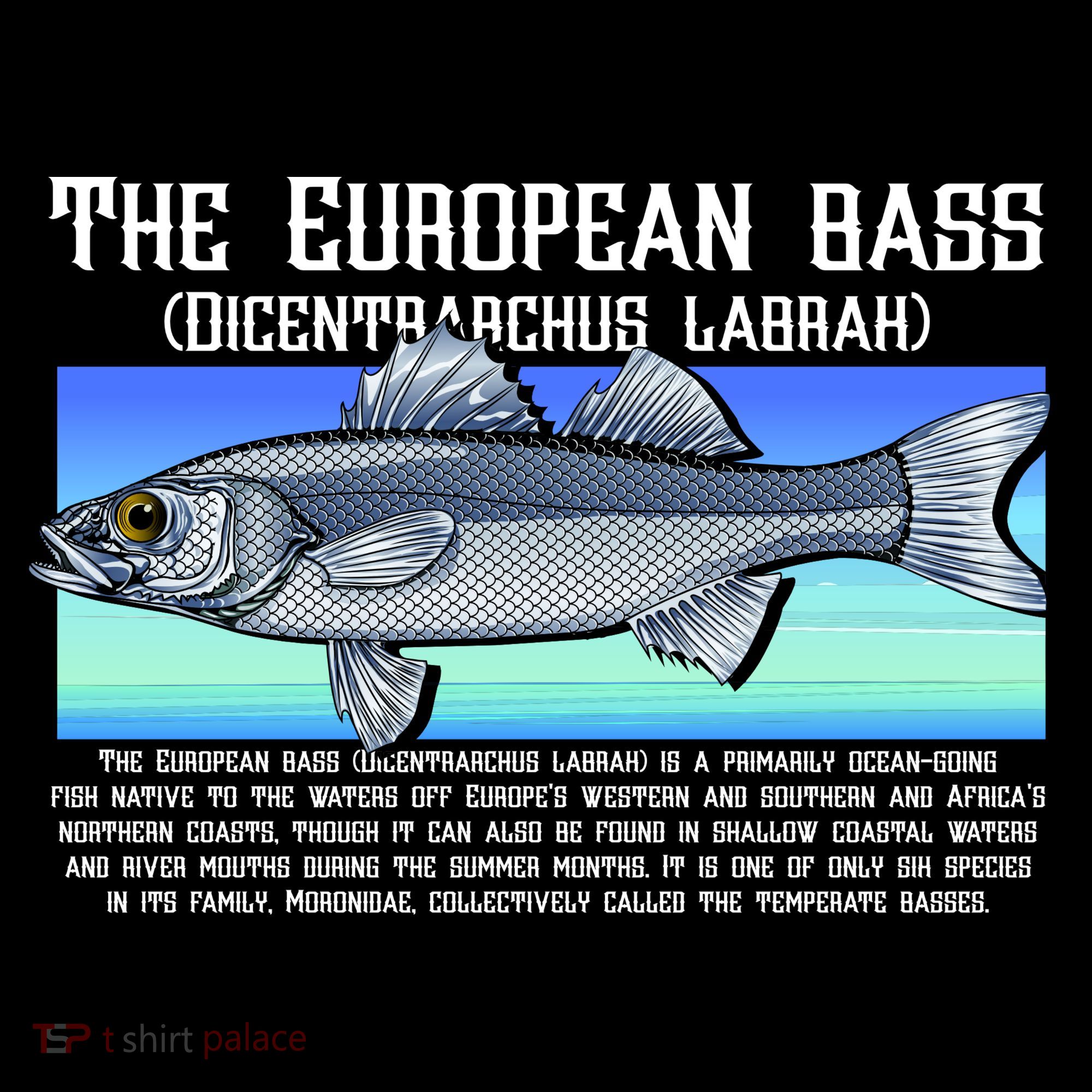 The European Bass Women's Hoodie
