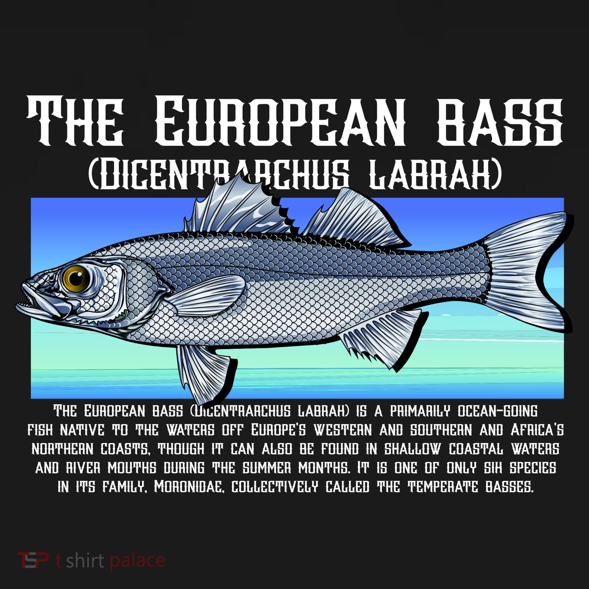 The European Bass Women's Tank Top