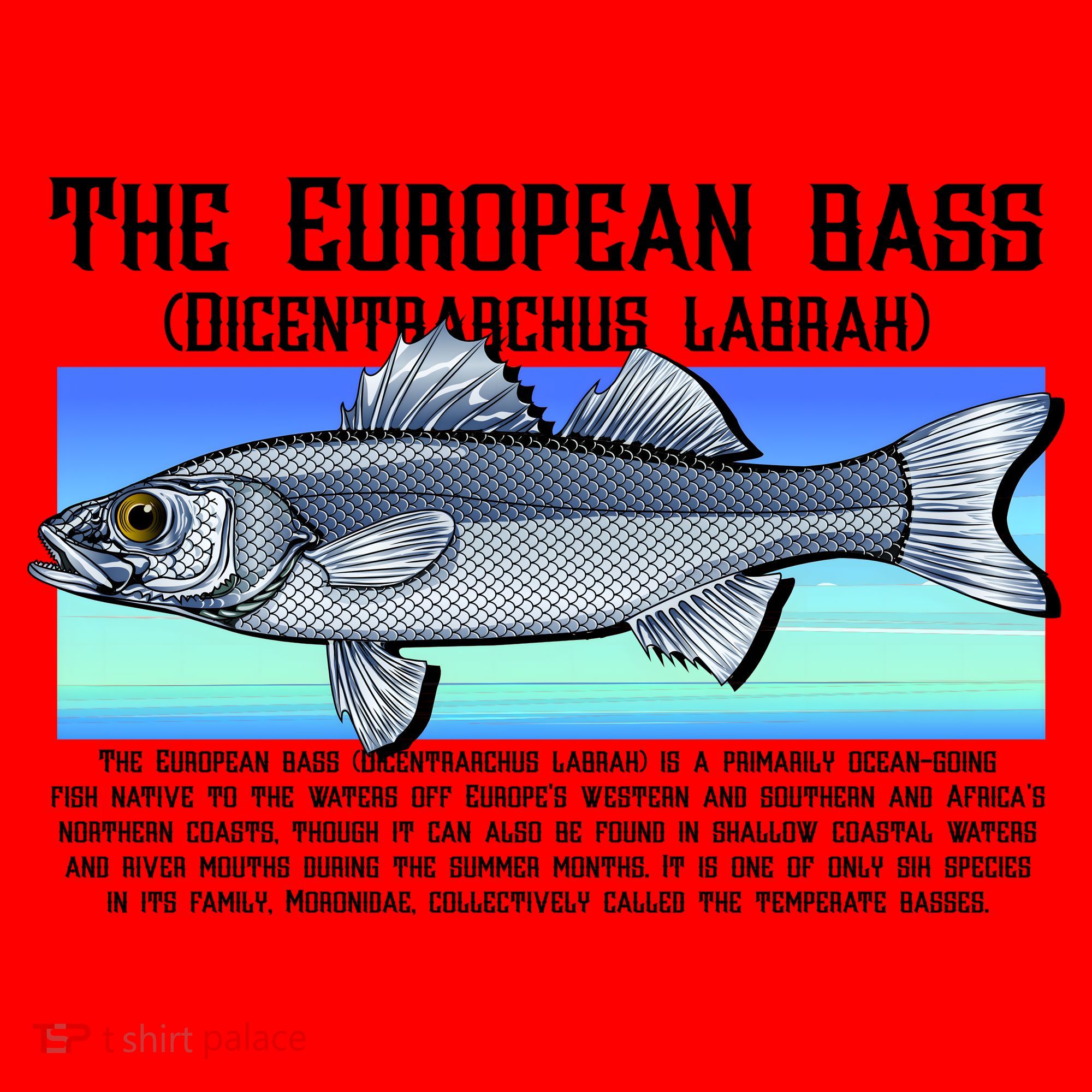 The European Bass Santa Hat