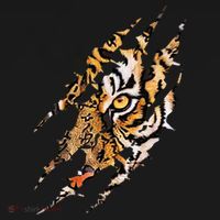 Tiger Eye Claw Marks Wild Bengal Safari Lover Zookeeper Mousepad thumb 1