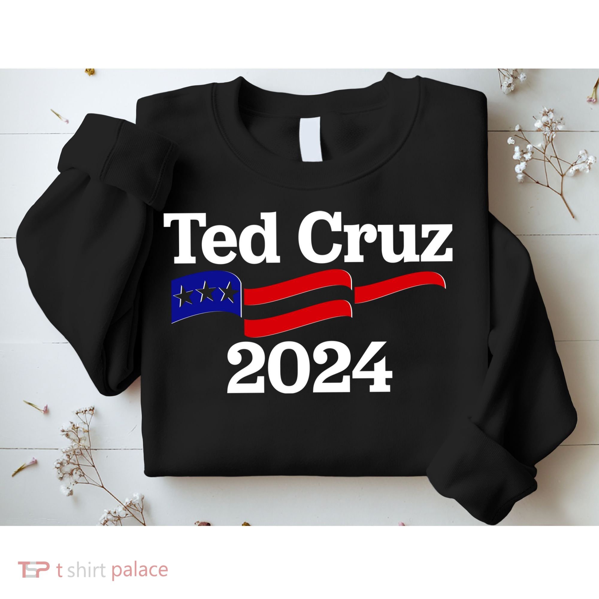 Ted Cruz For President 2024 Election Flag Sweatshirt