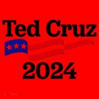 Ted Cruz For President 2024 Election Flag Santa Hat thumb 1