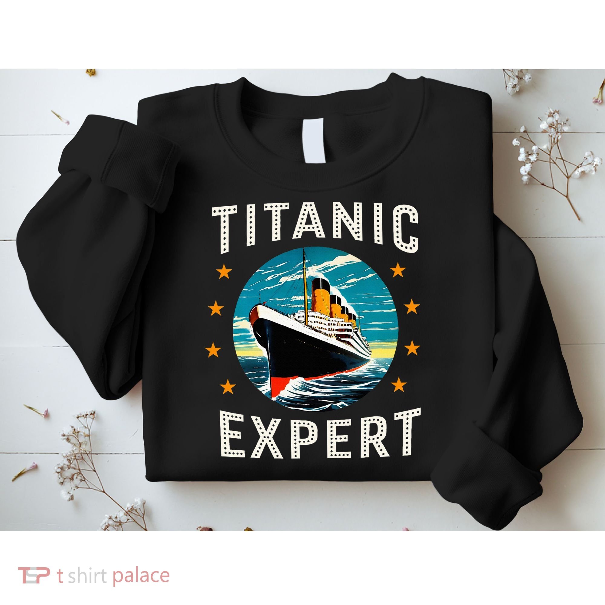 Titanic Expert Funny Rms Titanic Birthday Sweatshirt