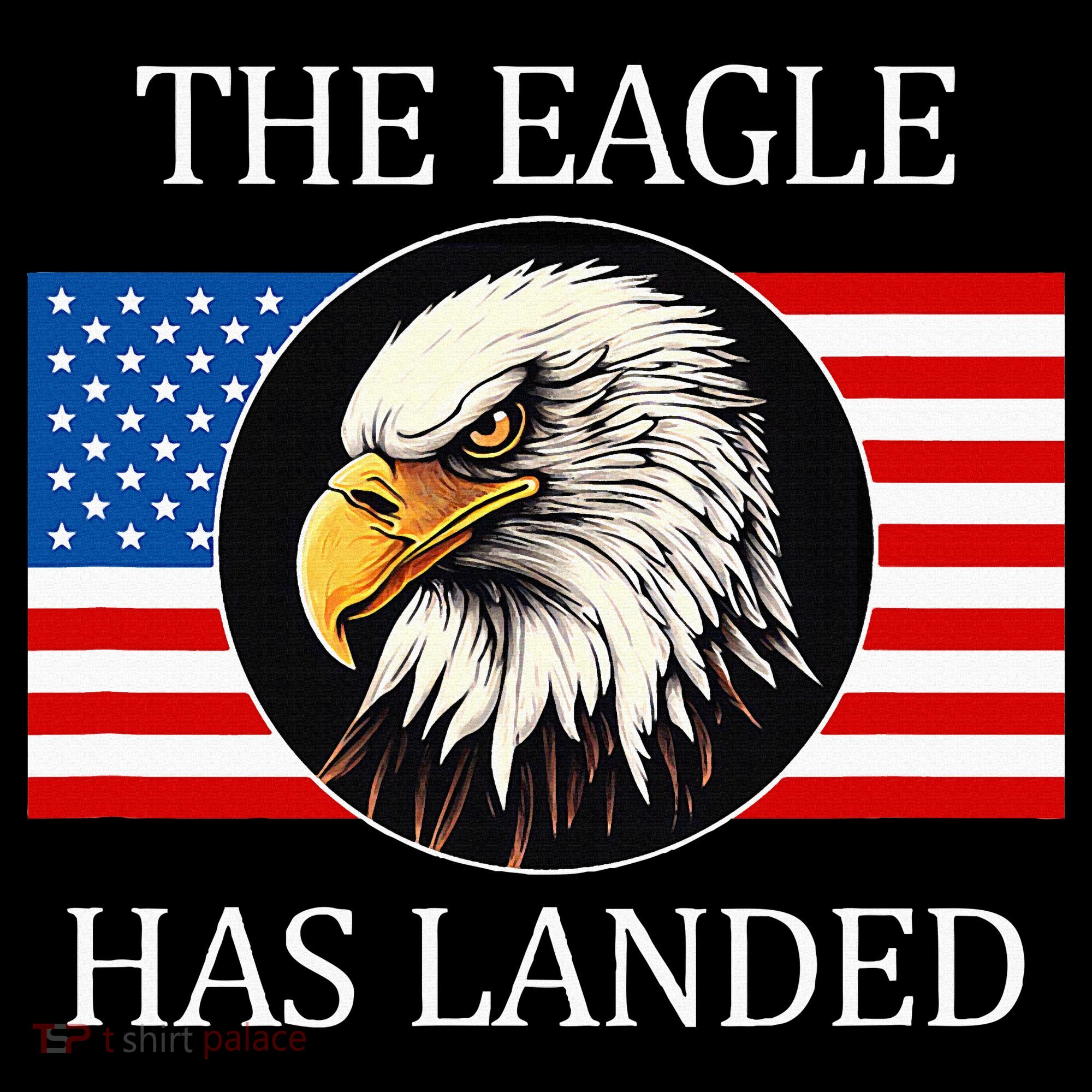 The Eagle Has Landed Ornament