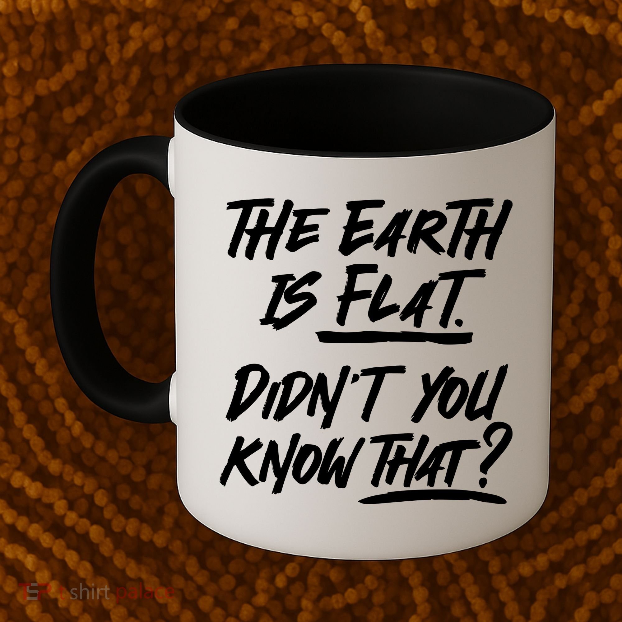 The Earth Is Flat Didnt You Know That Coffee Mug
