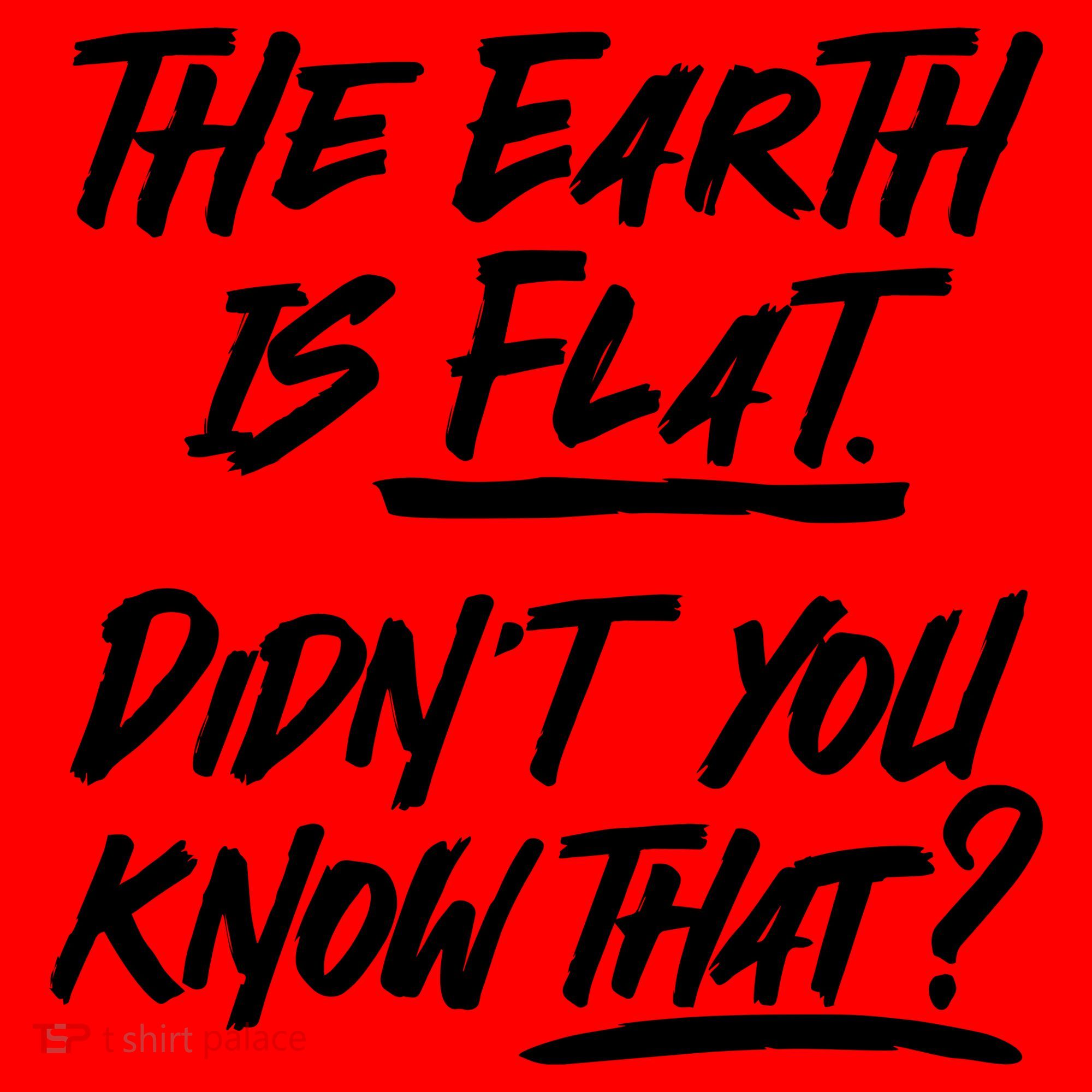 The Earth Is Flat Didnt You Know That Santa Hat