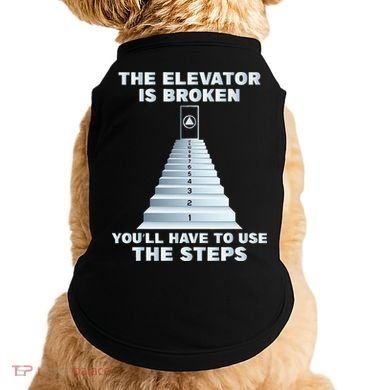 The Elevator Is Broken Sober Sobriety AA NA Doggie Tank