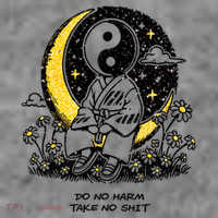 Third Eye Kingdom Do No Harm Take No Shit Toddler Hoodie thumb 2