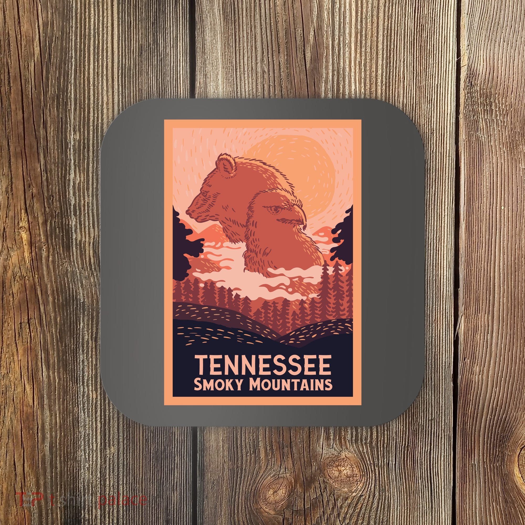 Tennessee Smoky Mountains Coaster