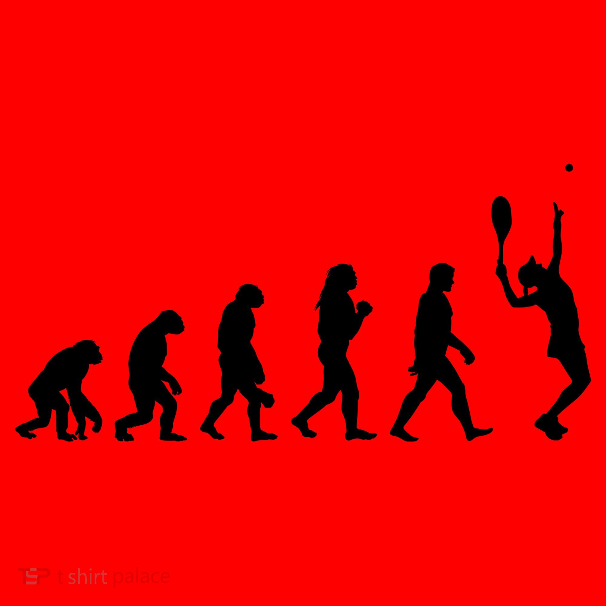 Tennis Evolution Santa Hat