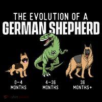 The Evolution Of A German Shepherd Dog Owner Women's Tank Top thumb 5