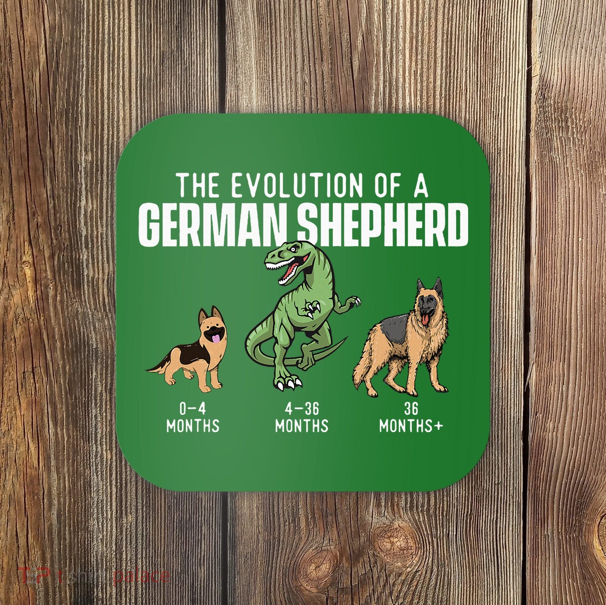 The Evolution Of A German Shepherd Dog Owner Coaster