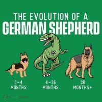 The Evolution Of A German Shepherd Dog Owner Toddler T-Shirt thumb 4