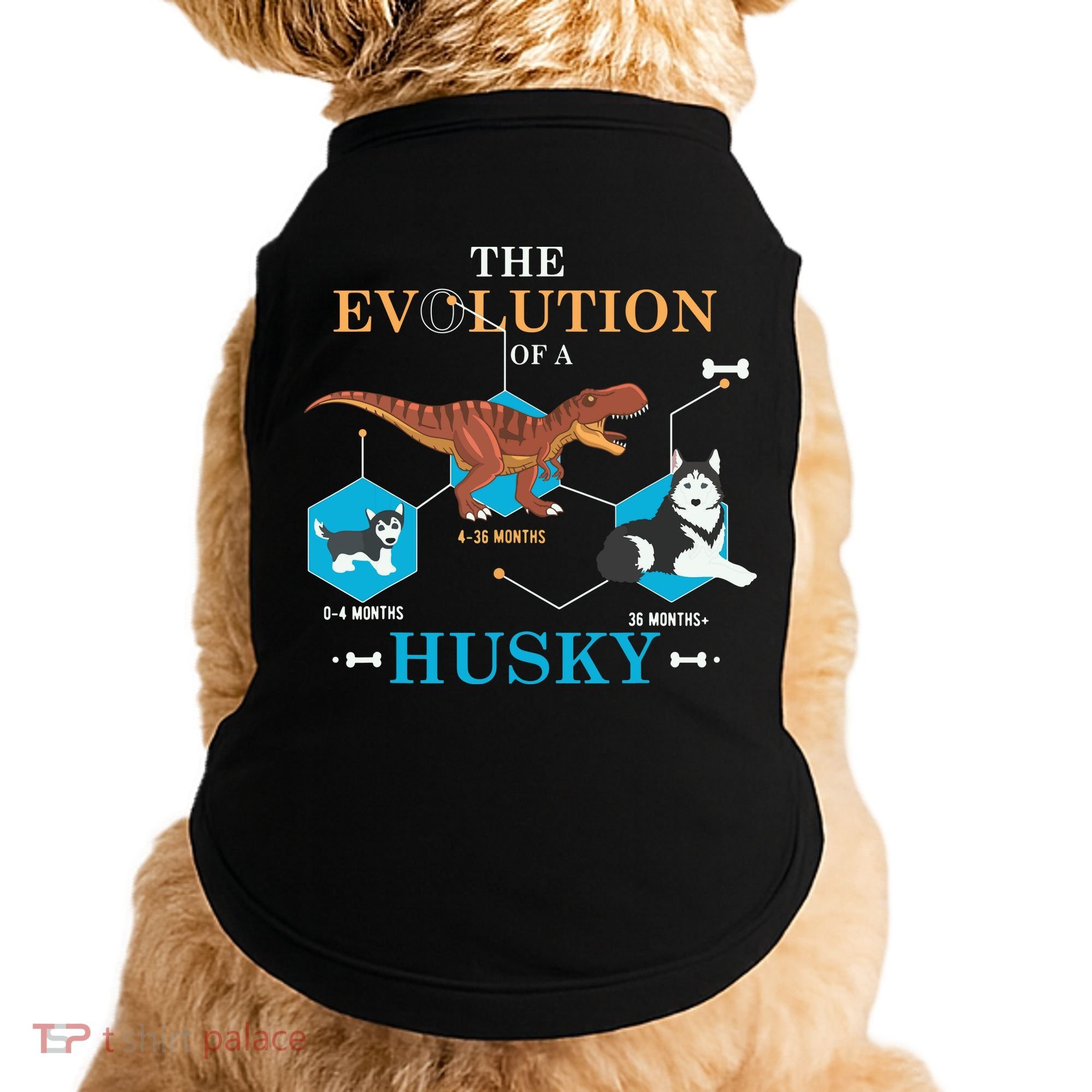 The Evolution Of A Husky Or Evolution Of Dogs Doggie Tank