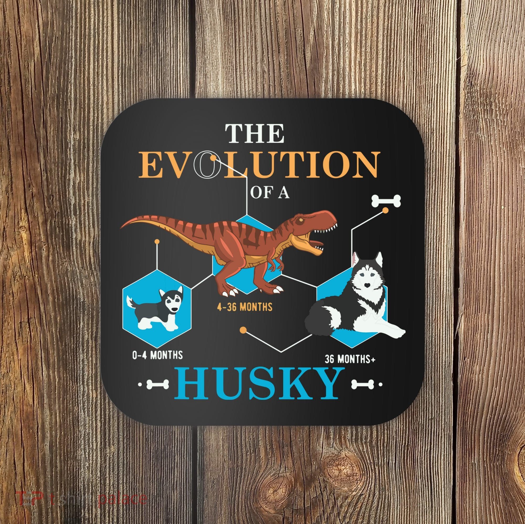 The Evolution Of A Husky Or Evolution Of Dogs Coaster