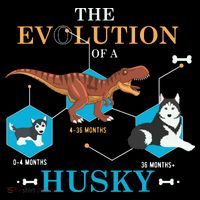 The Evolution Of A Husky Or Evolution Of Dogs Women's Hoodie thumb 2