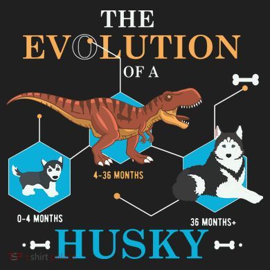 The Evolution Of A Husky Or Evolution Of Dogs Crop Fleece Hoodie