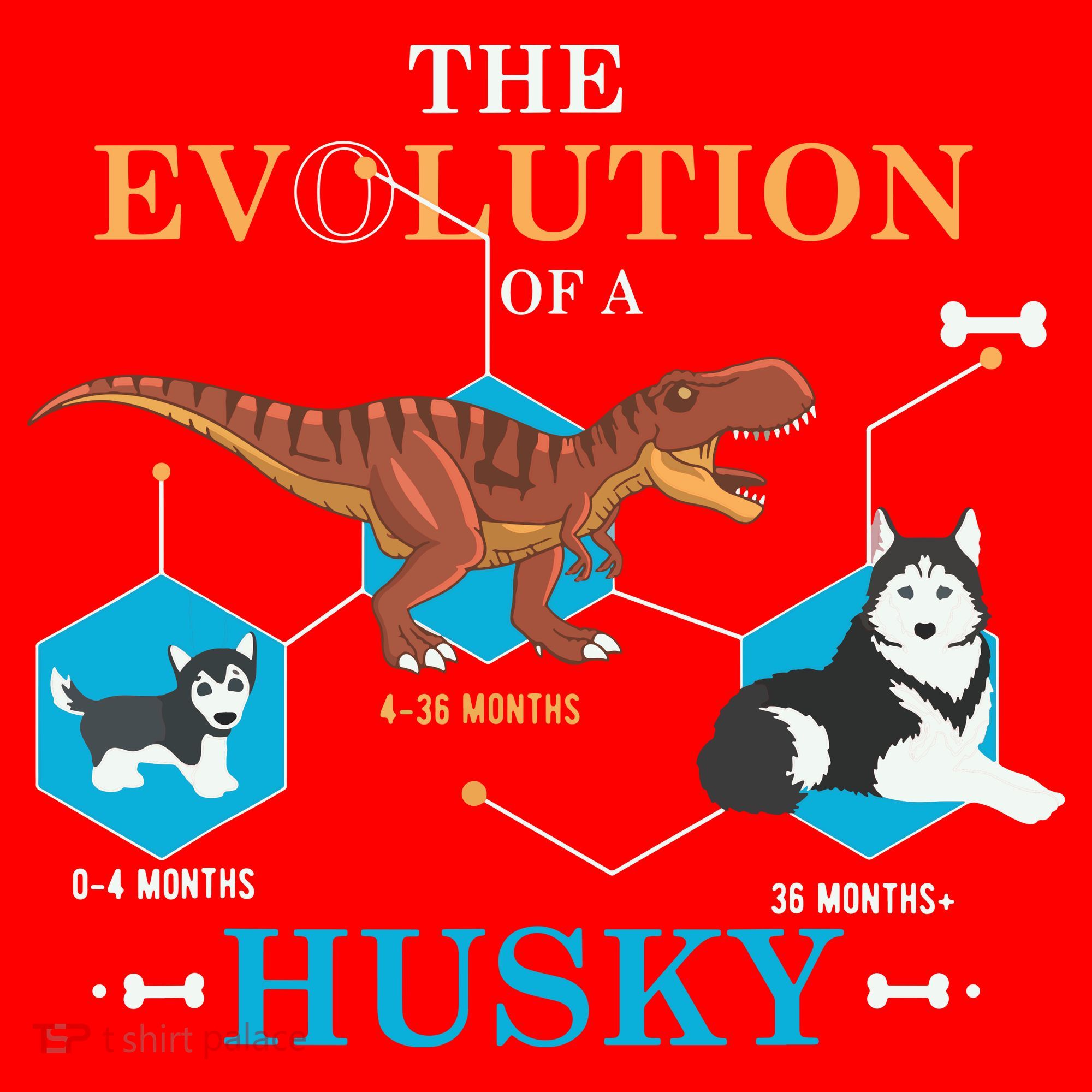 The Evolution Of A Husky Or Evolution Of Dogs Santa Hat