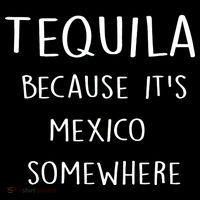 Tequila Because It's Mexico Somewhere Hoodie thumb 7