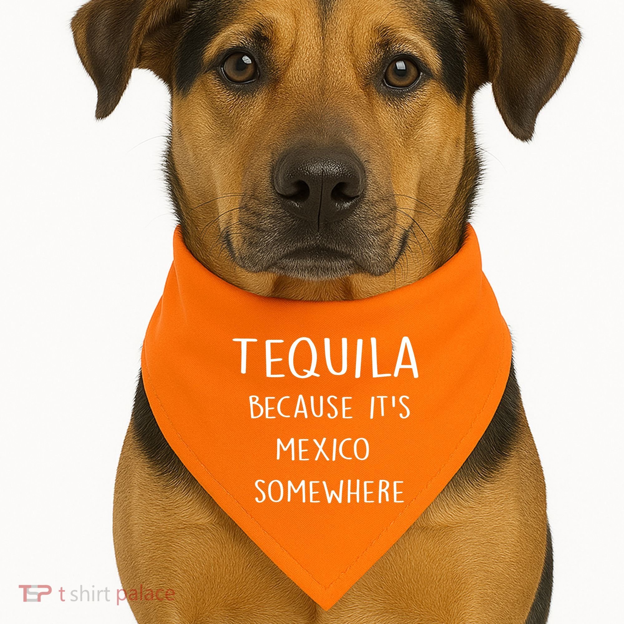 Tequila Because It's Mexico Somewhere USA-Made Doggie Bandana