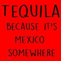 Tequila Because It's Mexico Somewhere Santa Hat thumb 1