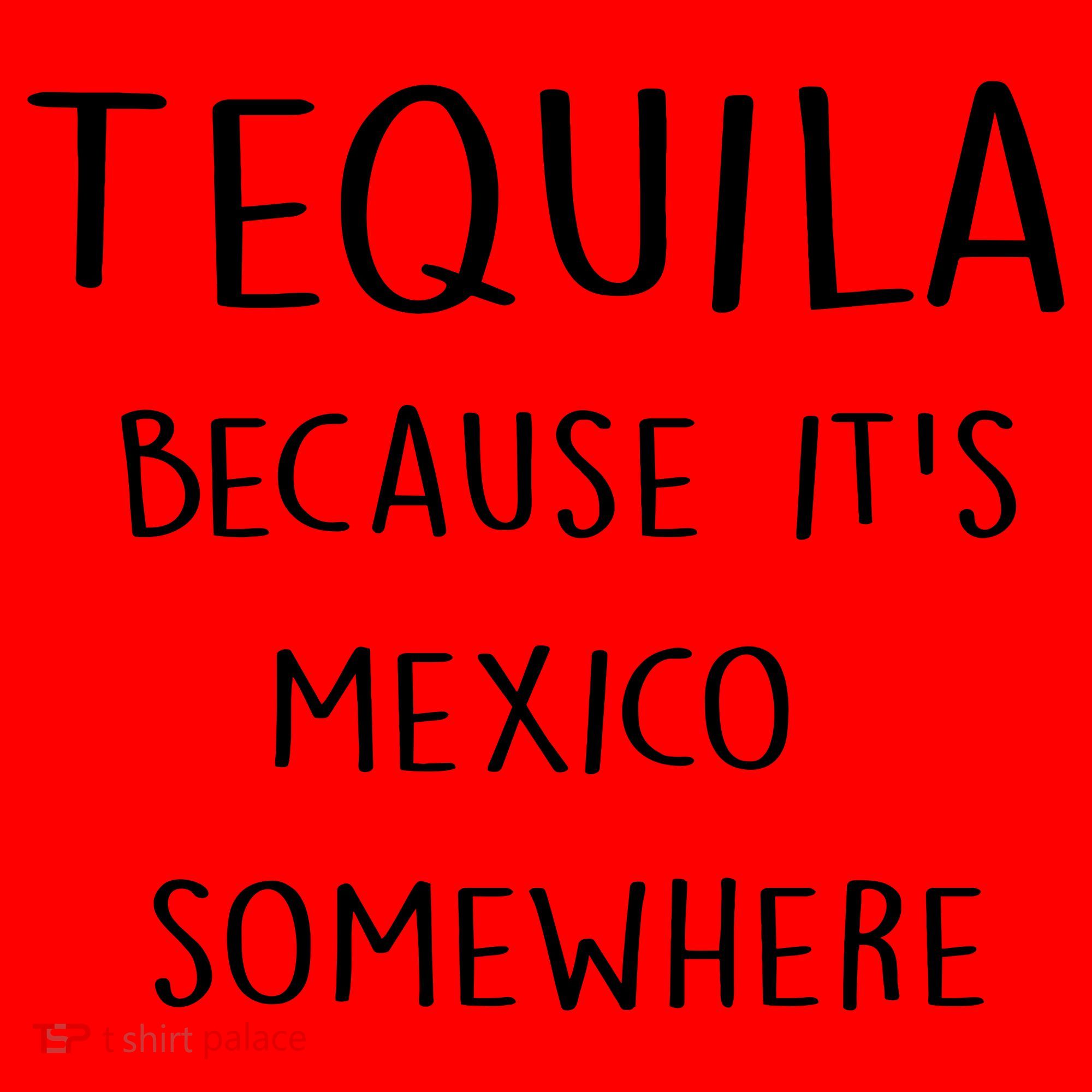 Tequila Because It's Mexico Somewhere Santa Hat