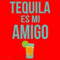 Tequila Es Mi Amigo Cinco de Mayo Santa Hat thumb 1