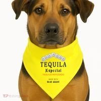 Tequila Especial Lime Slat USA-Made Doggie Bandana thumb 1