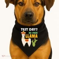 Test Day? No Prob Llama Cactus USA-Made Doggie Bandana thumb 1