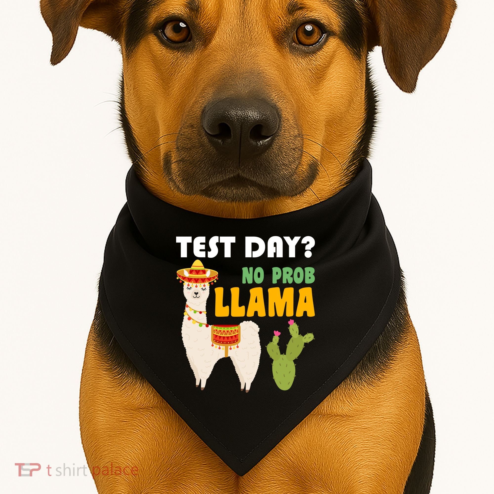 Test Day? No Prob Llama Cactus USA-Made Doggie Bandana