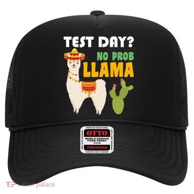 Test Day? No Prob Llama Cactus Hat