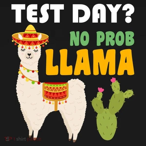 Test Day? No Prob Llama Cactus Women's Long Sleeve Shirt