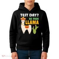 Test Day? No Prob Llama Cactus Kids Hoodie thumb 4