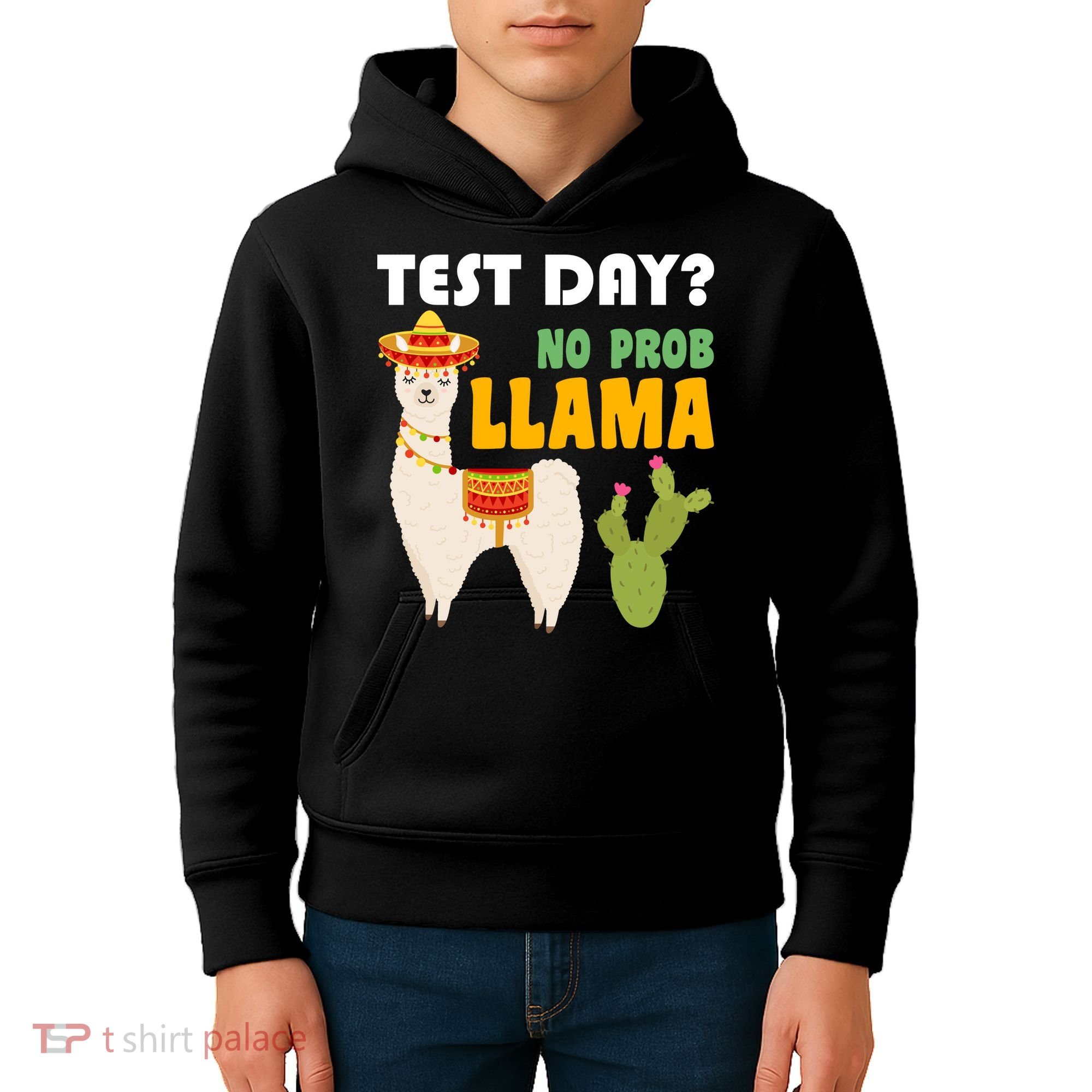 Test Day? No Prob Llama Cactus Kids Hoodie