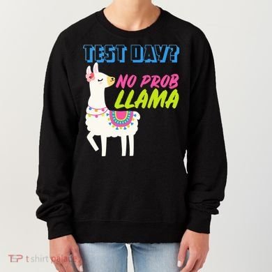 Test Day? No Probllama  Women's Sweatshirt