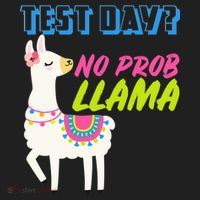 Test Day? No Probllama  Women's Sweatshirt thumb 2