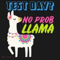 Test Day? No Probllama  Doggie Tank thumb 4