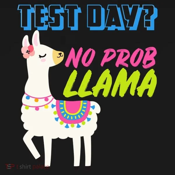 Test Day? No Probllama  Doggie Tank