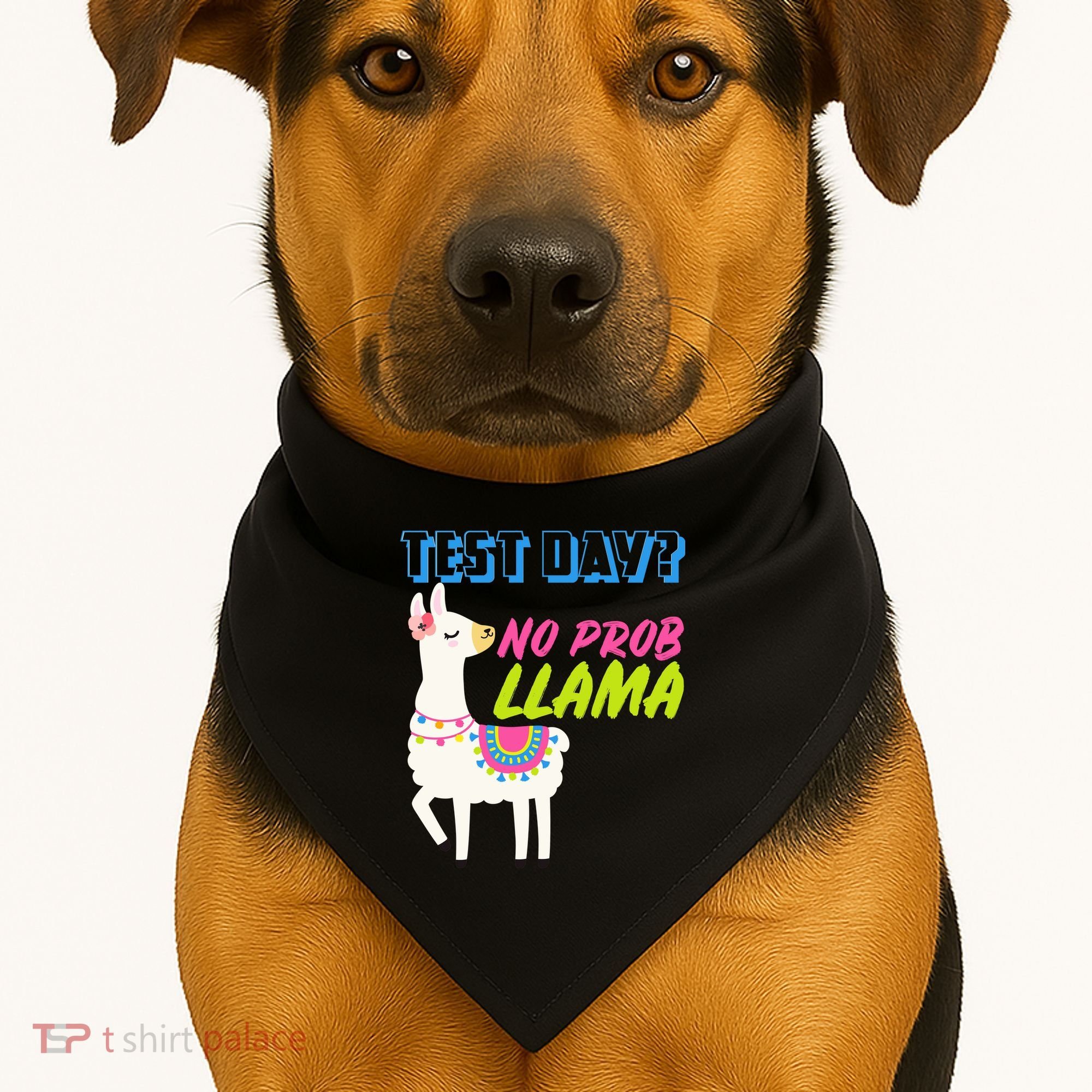 Test Day? No Probllama  USA-Made Doggie Bandana